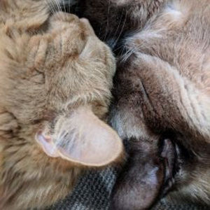 Meet your Posher, Natalie